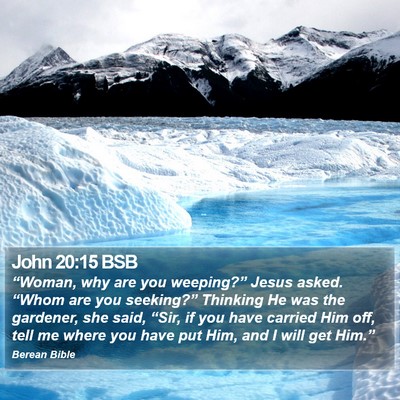 John 20:15 BSB Bible Verse Image