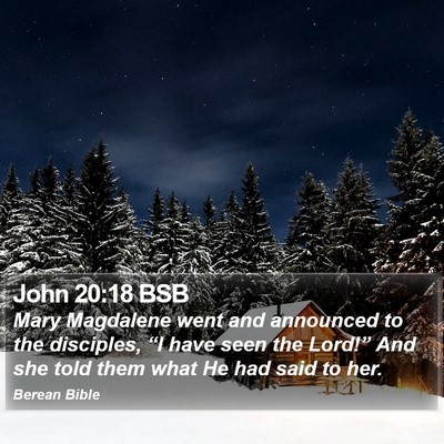 John 20:18 BSB Bible Verse Image