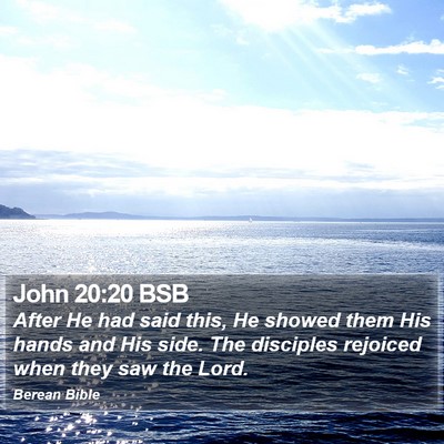 John 20:20 BSB Bible Verse Image