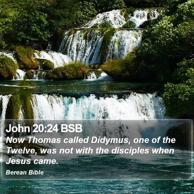 John 20:24 BSB Bible Verse Image