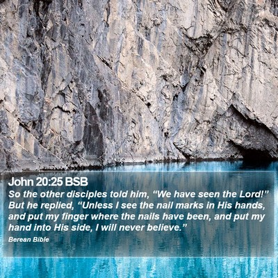 John 20:25 BSB Bible Verse Image