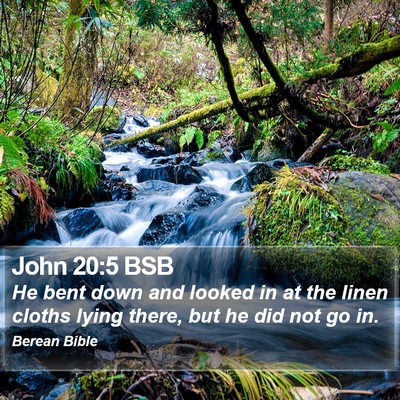 John 20:5 BSB Bible Verse Image