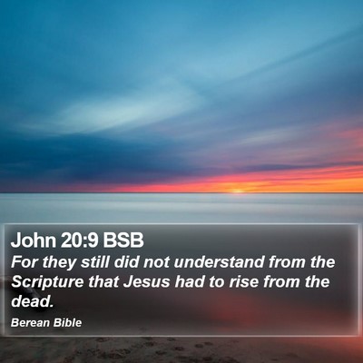 John 20:9 BSB Bible Verse Image