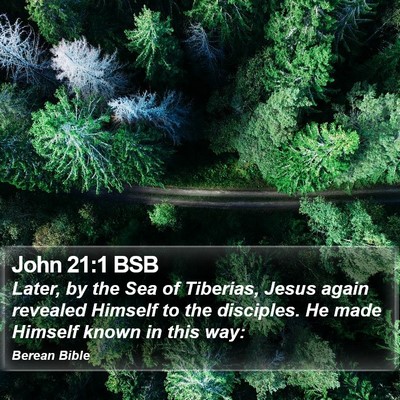 John 21:1 BSB Bible Verse Image