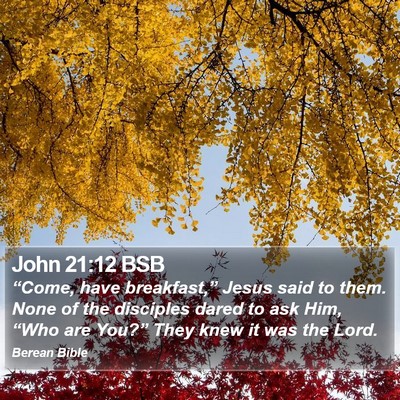 John 21:12 BSB Bible Verse Image