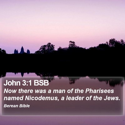 John 3:1 BSB Bible Verse Image
