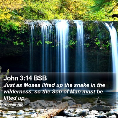 John 3:14 BSB Bible Verse Image