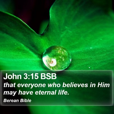 John 3:15 BSB Bible Verse Image