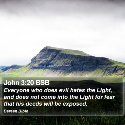 John 3:20 BSB Bible Verse Image