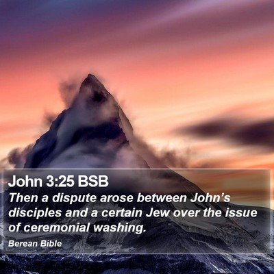 John 3:25 BSB Bible Verse Image