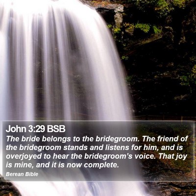 John 3:29 BSB Bible Verse Image