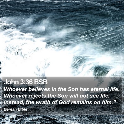 John 3:36 BSB Bible Verse Image