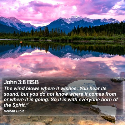 John 3:8 BSB Bible Verse Image