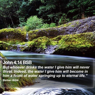 John 4:14 BSB Bible Verse Image