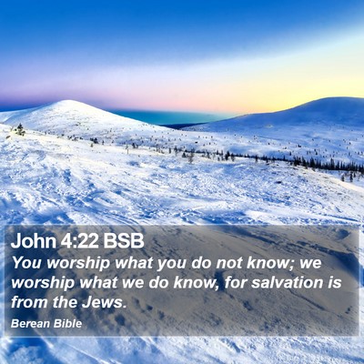 John 4:22 BSB Bible Verse Image