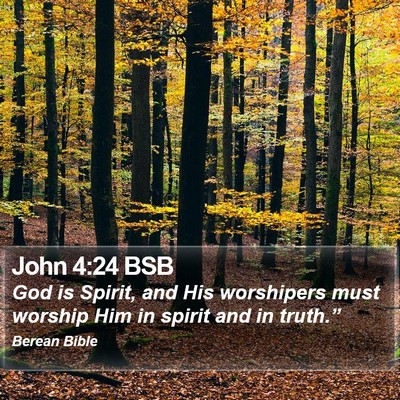 John 4:24 BSB Bible Verse Image