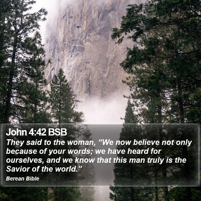 John 4:42 BSB Bible Verse Image