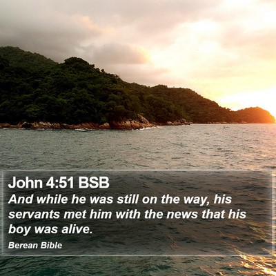 John 4:51 BSB Bible Verse Image