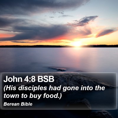 John 4:8 BSB Bible Verse Image