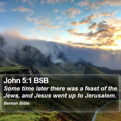 John 5:1 BSB Bible Verse Image