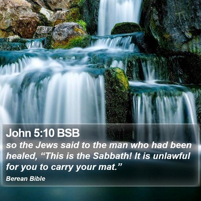 John 5:10 BSB Bible Verse Image