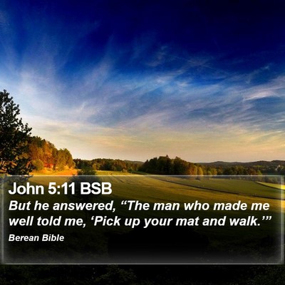 John 5:11 BSB Bible Verse Image