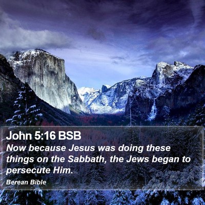 John 5:16 BSB Bible Verse Image