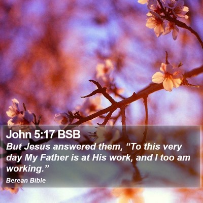John 5:17 BSB Bible Verse Image