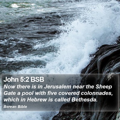 John 5:2 BSB Bible Verse Image