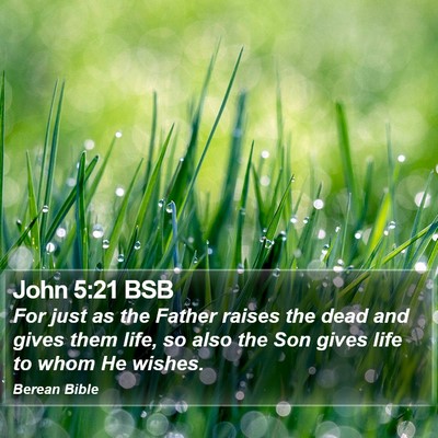 John 5:21 BSB Bible Verse Image