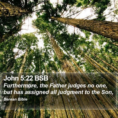 John 5:22 BSB Bible Verse Image