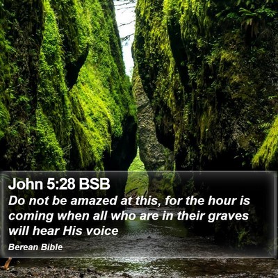 John 5:28 BSB Bible Verse Image