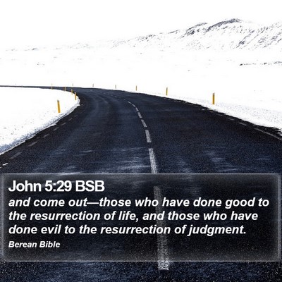 John 5:29 BSB Bible Verse Image