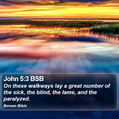 John 5:3 BSB Bible Verse Image