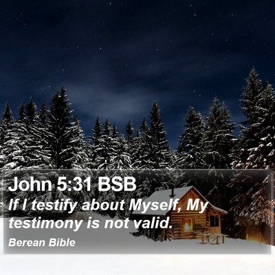 John 5:31 BSB Bible Verse Image