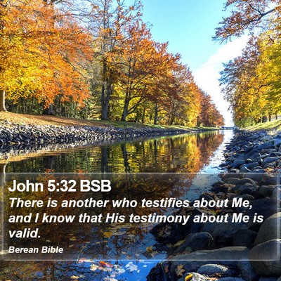 John 5:32 BSB Bible Verse Image