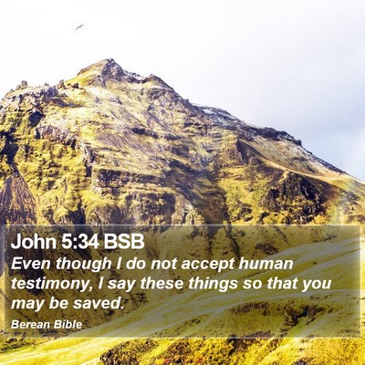 John 5:34 BSB Bible Verse Image