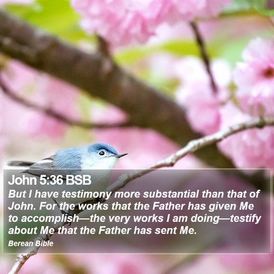 John 5:36 BSB Bible Verse Image