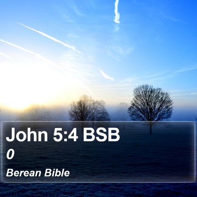John 5:4 BSB Bible Verse Image