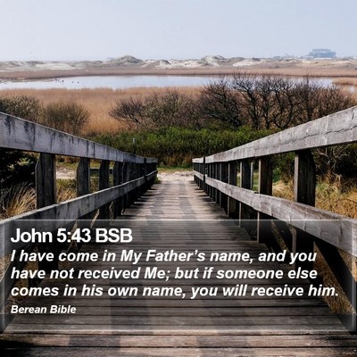 John 5:43 BSB Bible Verse Image