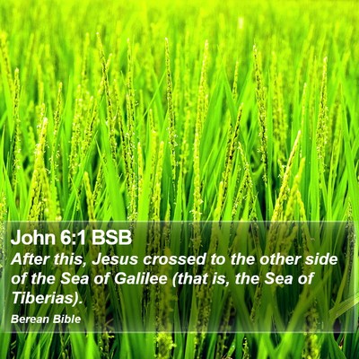 John 6:1 BSB Bible Verse Image