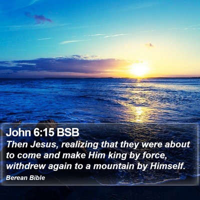 John 6:15 BSB Bible Verse Image
