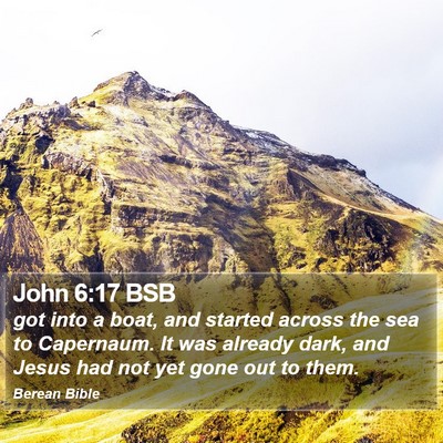 John 6:17 BSB Bible Verse Image