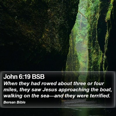 John 6:19 BSB Bible Verse Image