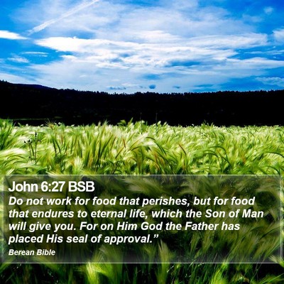 John 6:27 BSB Bible Verse Image