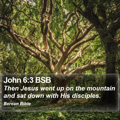 John 6:3 BSB Bible Verse Image
