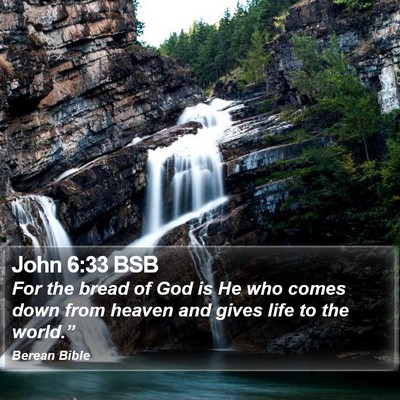 John 6:33 BSB Bible Verse Image
