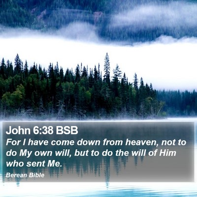 John 6:38 BSB Bible Verse Image