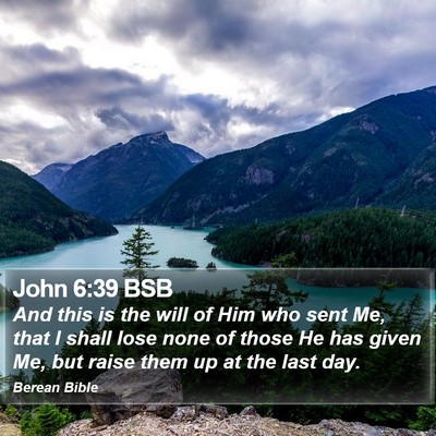 John 6:39 BSB Bible Verse Image
