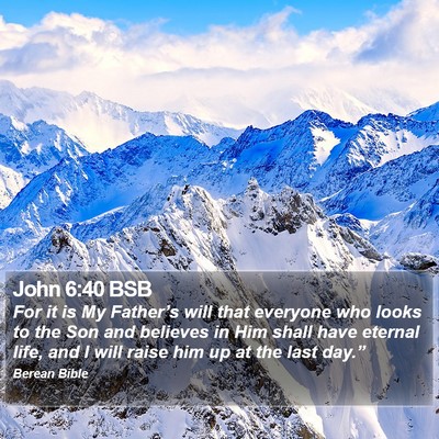 John 6:40 BSB Bible Verse Image